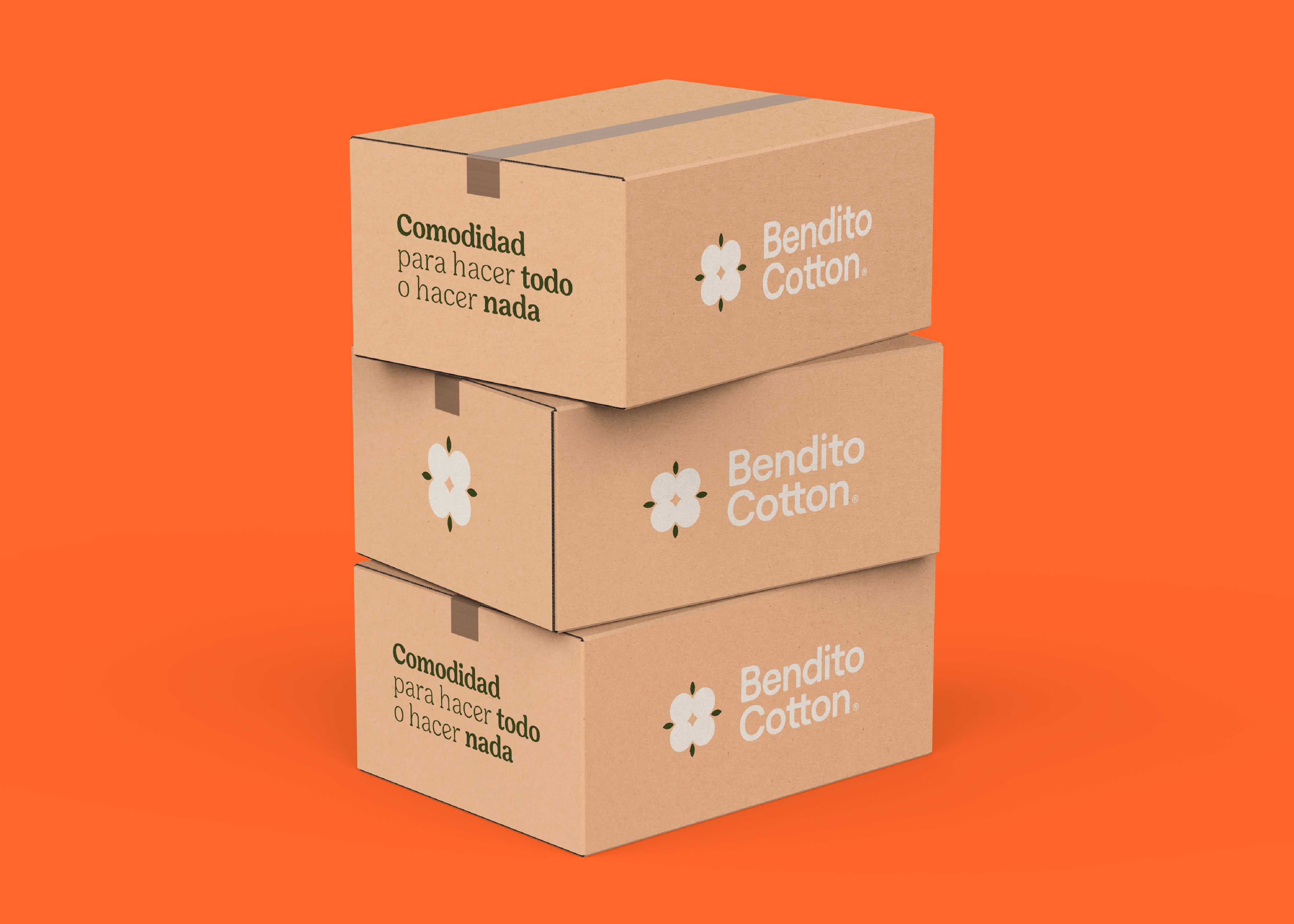 Bendito Cotton Shipping Boxes