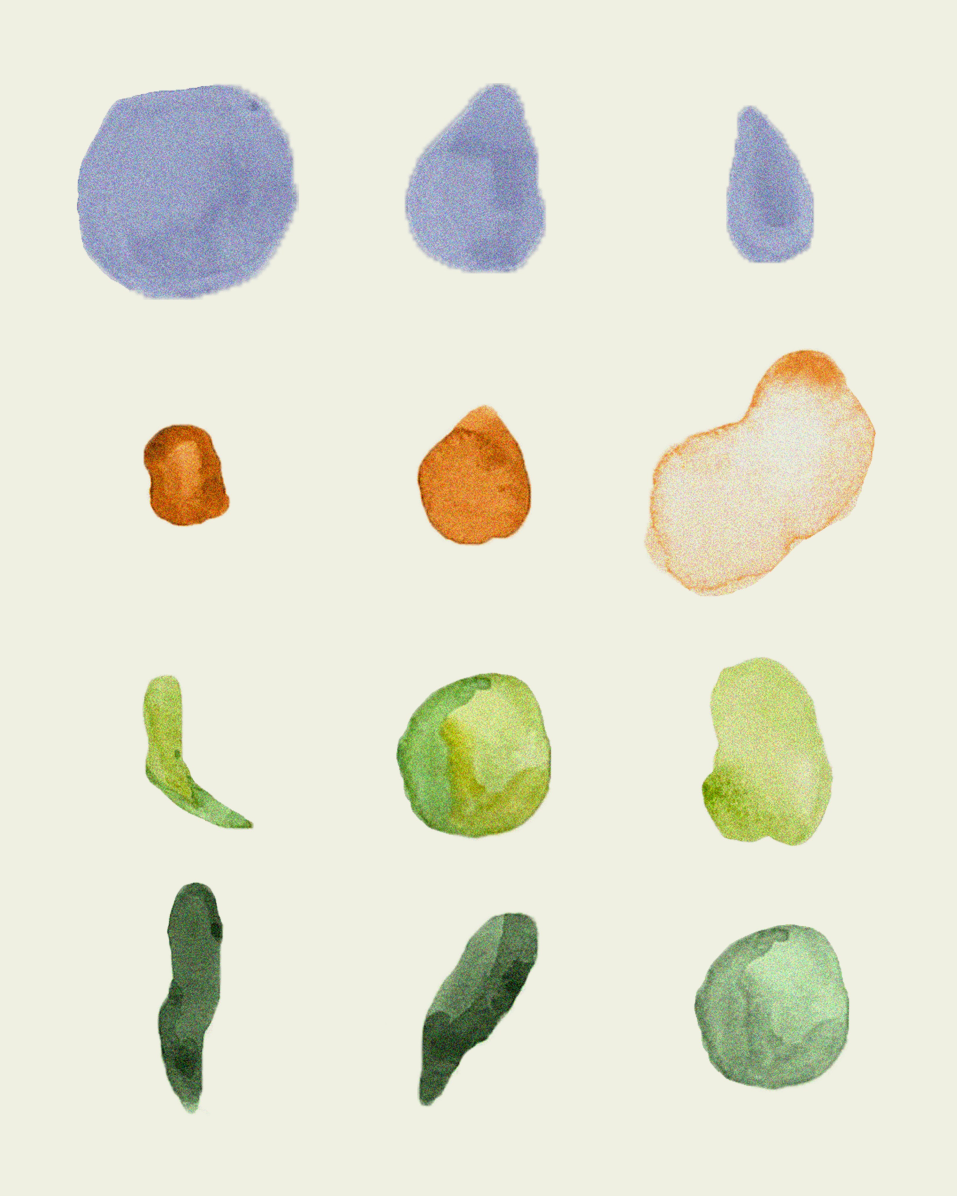 Farmacia Paduan - Elementos de acuarela